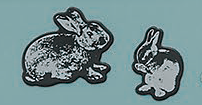 Lapin